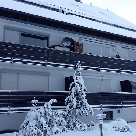 Apartment Ferienwohnung Skiliftkarussell Winterberg