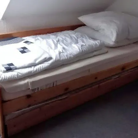 Apartment Ferienwohnung Skiliftkarussell
