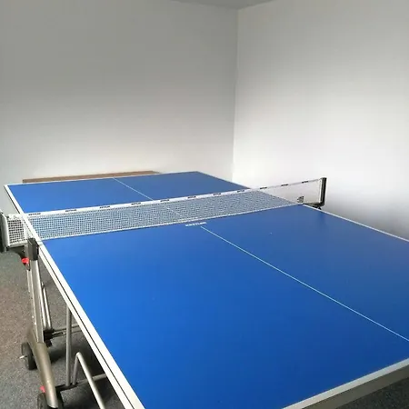 Ferienwohnung Skiliftkarussell Apartment *
